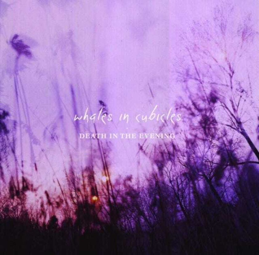 Whales In Cubicles Death In The Evening LP/Vinyl