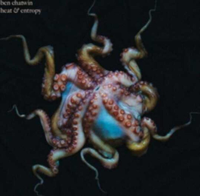 Ben Chatwin Heat & Entropy LP/Vinyl