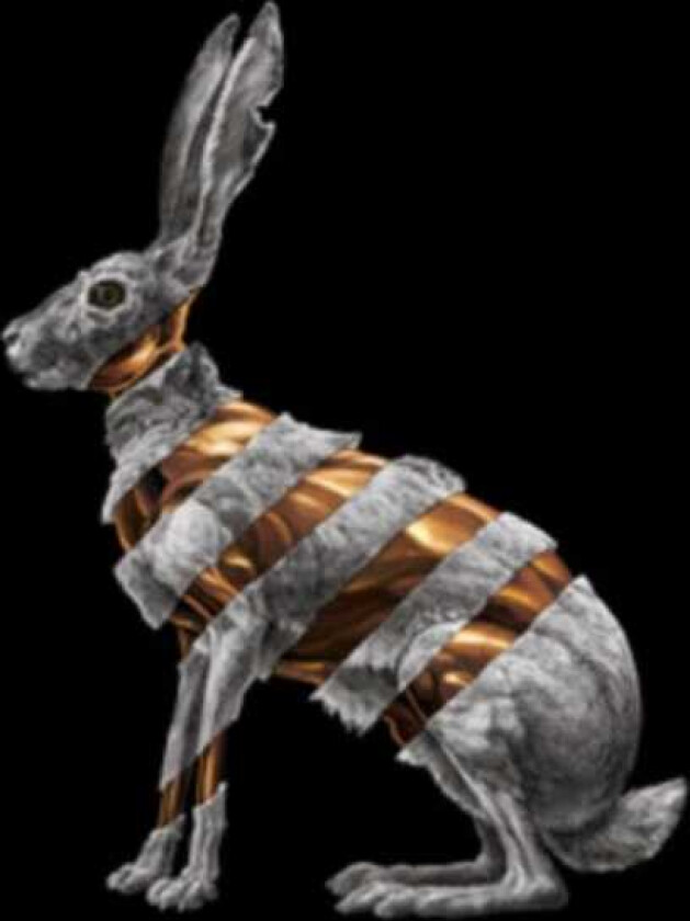 San Fermin Jackrabbit LP/Vinyl