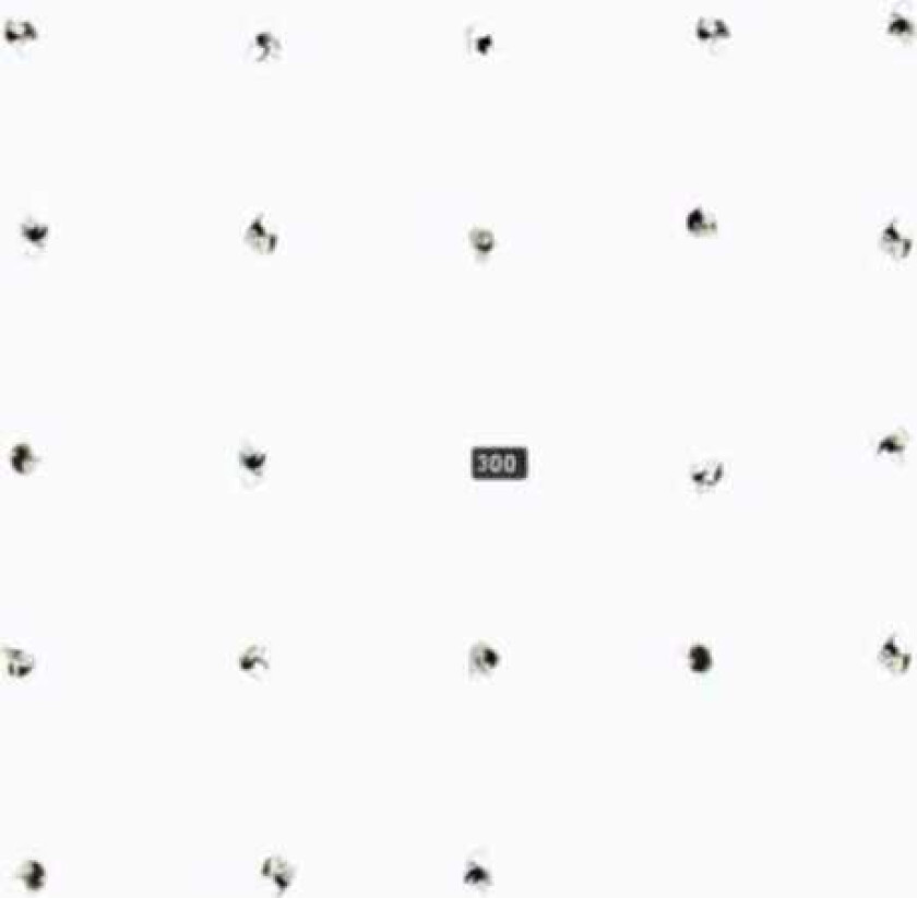 Ensemble Skalectrik Split Series #22 LP/Vinyl