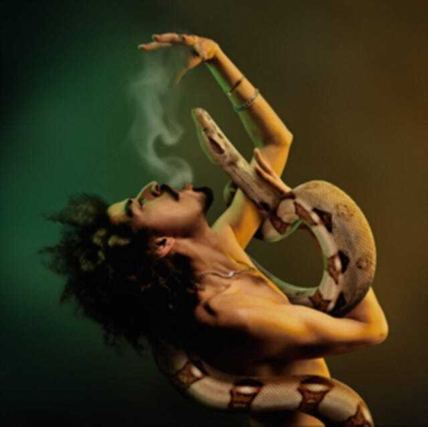 Momo Said Break The Rules LP/Vinyl