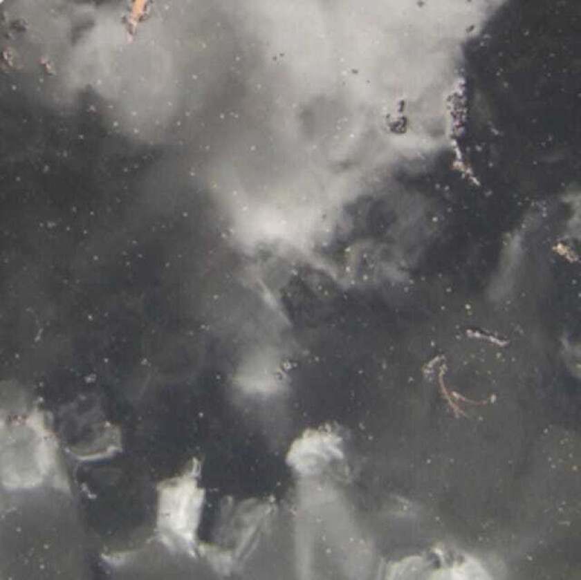 BOA Warp Purpose LP/Vinyl