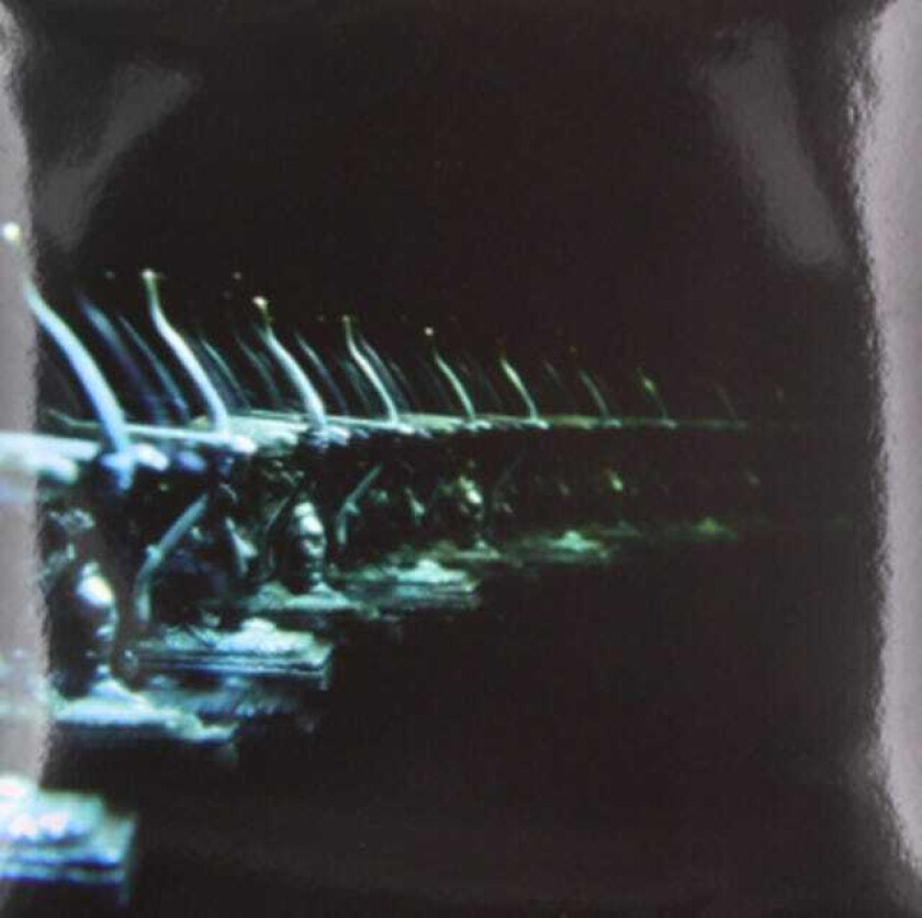 Ose Ellipsis LP/Vinyl