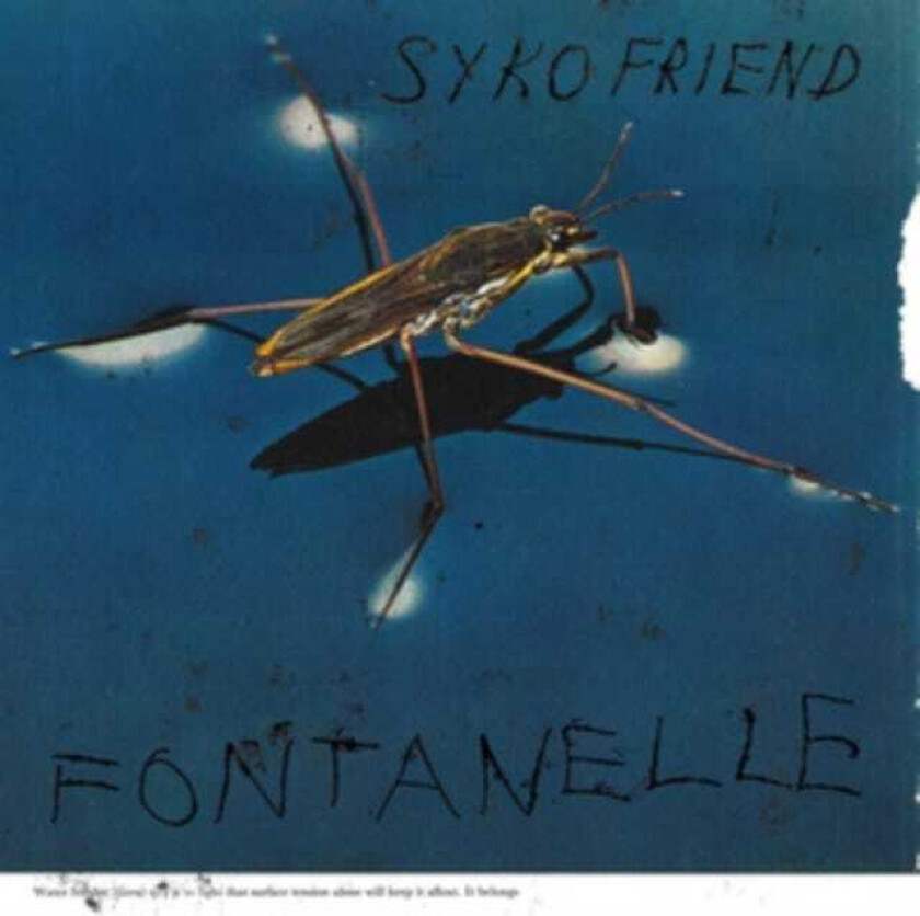 Syko Friend Fontanelle LP/Vinyl