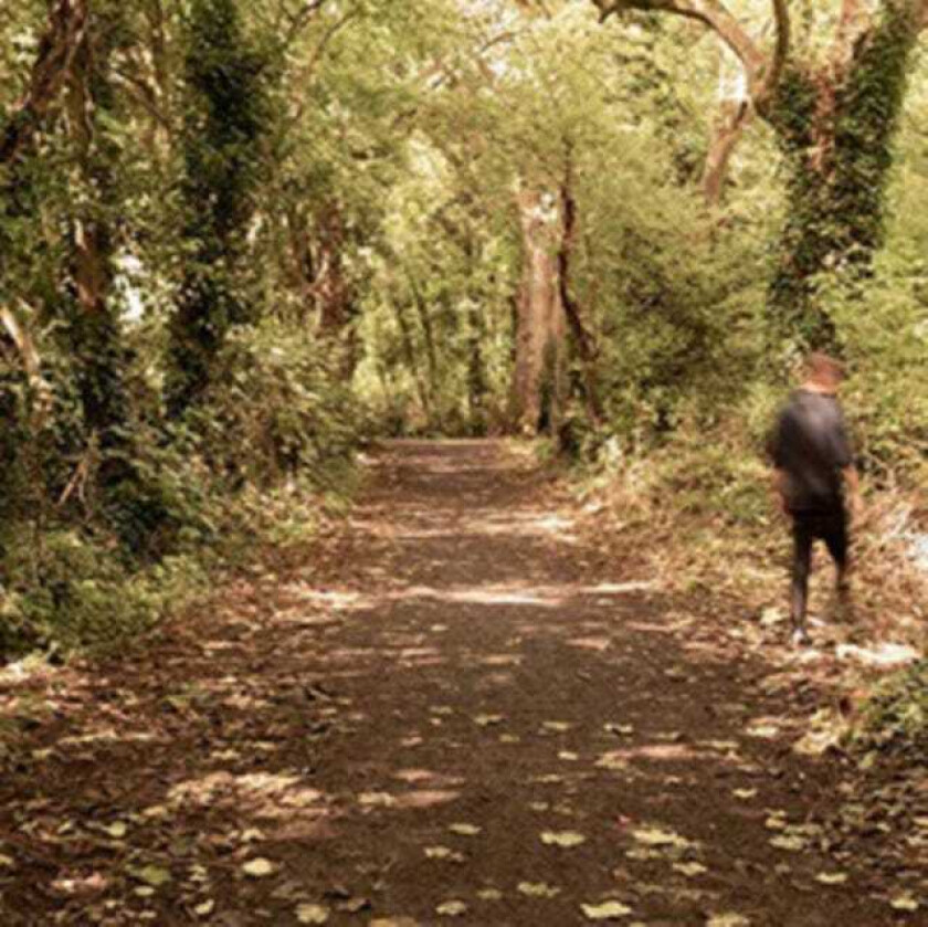 Paddy Mulcahy How To Disappear LP/Vinyl