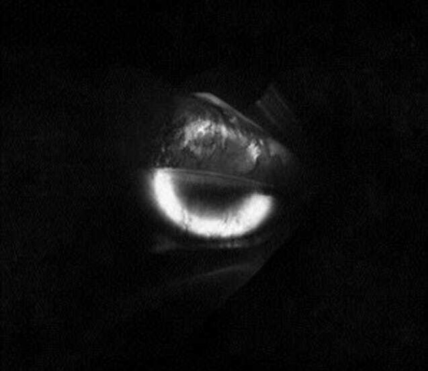 Sorcery Manufactured Conflicts LP/Vinyl