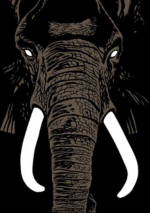 Palm Unit : Don’t Buy Ivory Anymore CD (2019)