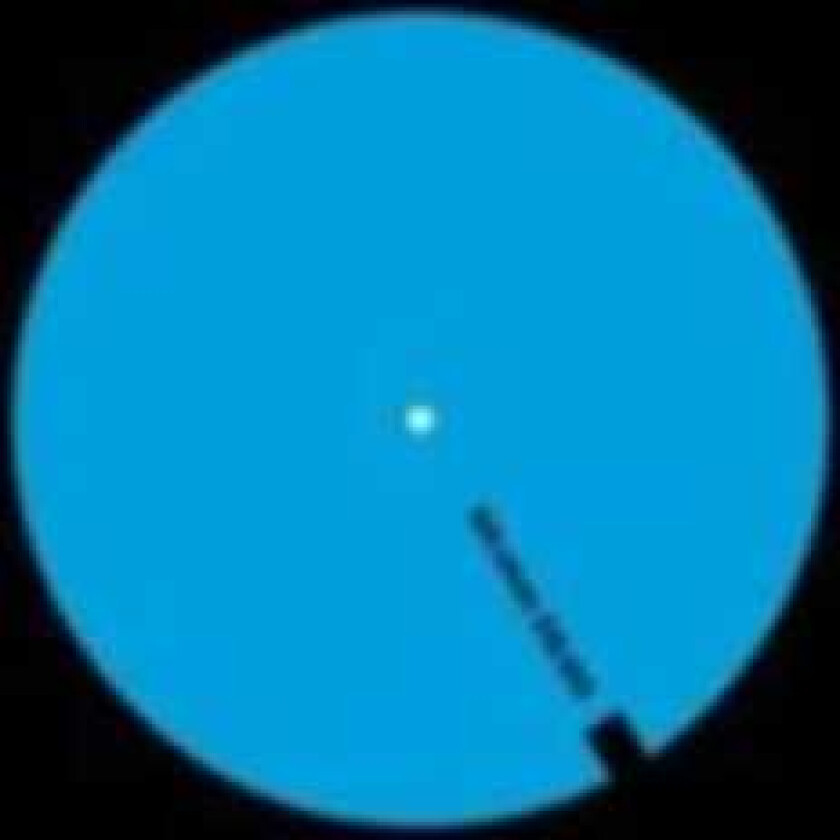 Statue Solidify LP/Vinyl