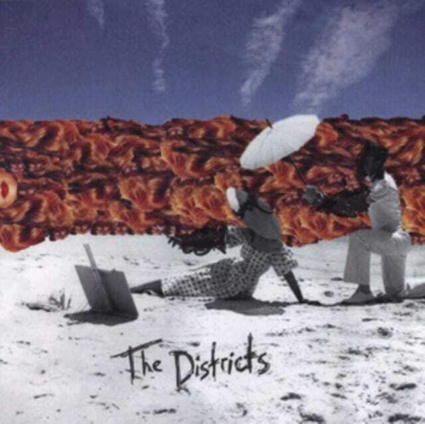 The Districts The Districts LP/Vinyl