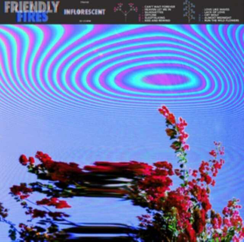 Friendly Fires Inflorescent LP/Vinyl