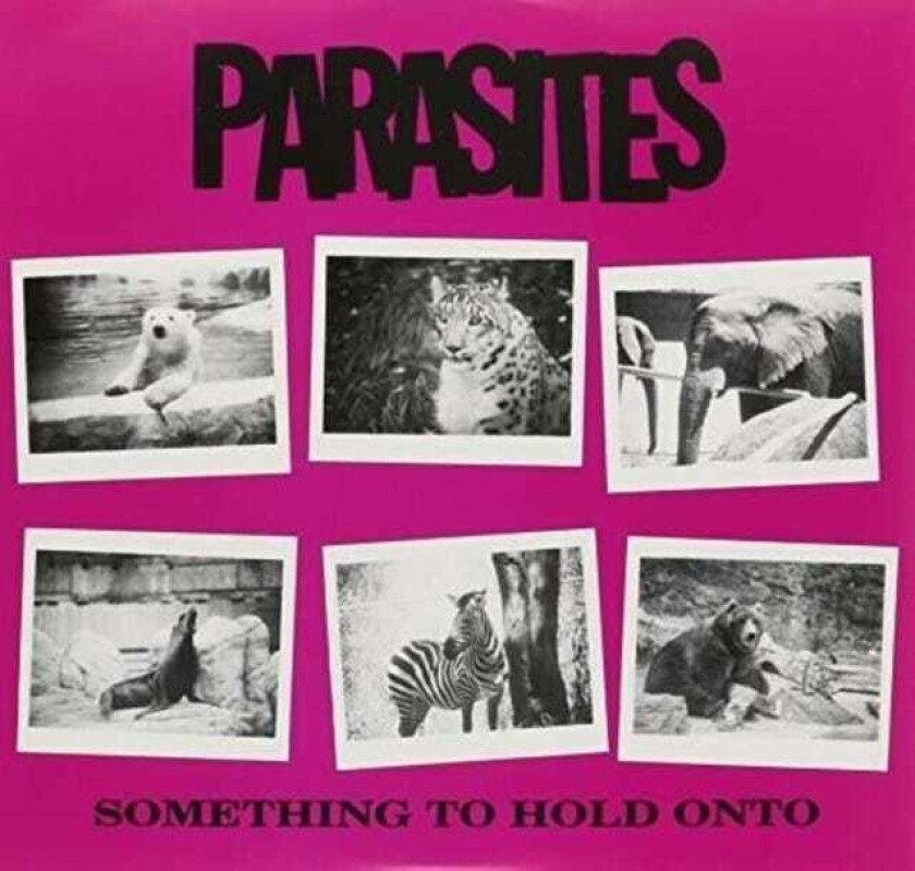 Bilde av Parasites  Something To Hold On To  LP/Vinyl