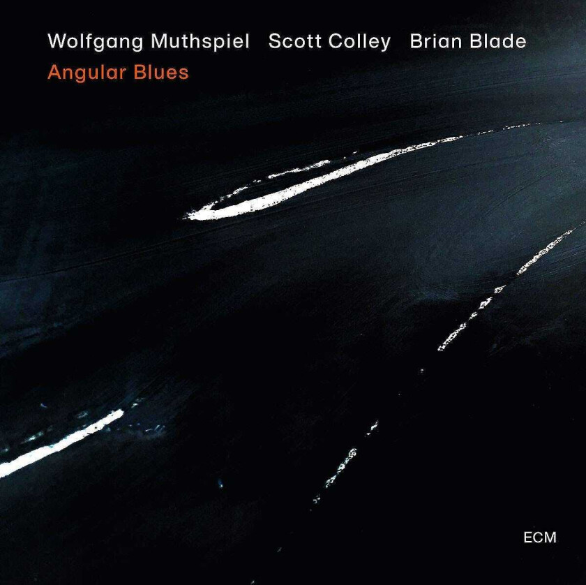 Wolfgang Muthspiel, Scott Colley, Brian Blade Angular Blues LP/Vinyl