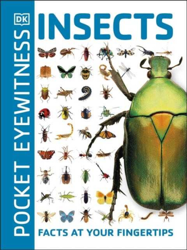 Pocket Eyewitness Insects  Facts at Your Fingertips