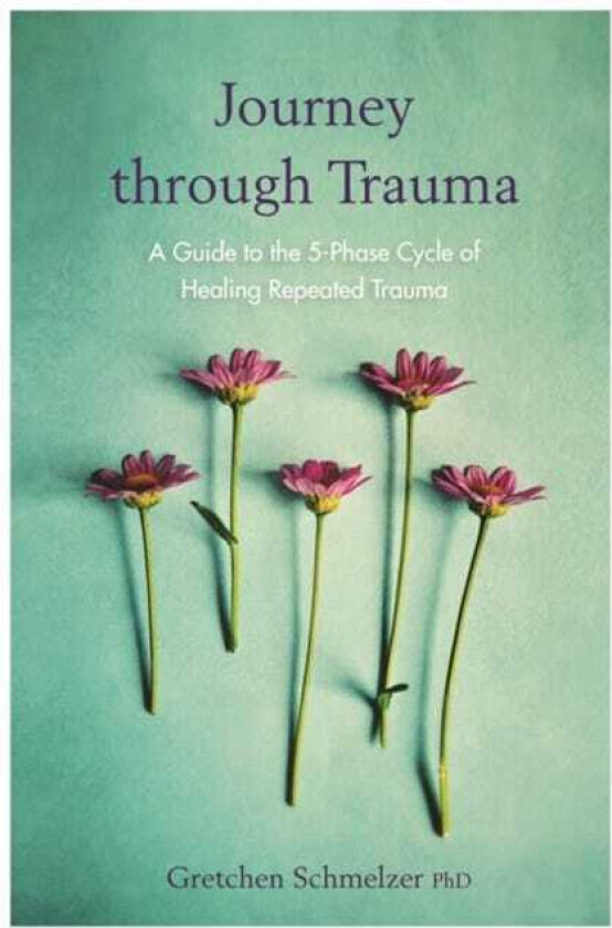 Journey through Trauma  A Guide to the 5Phase Cycle of Healing Repeated Trauma