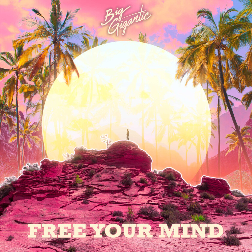 Big Gigantic  Free Your Mind  CD