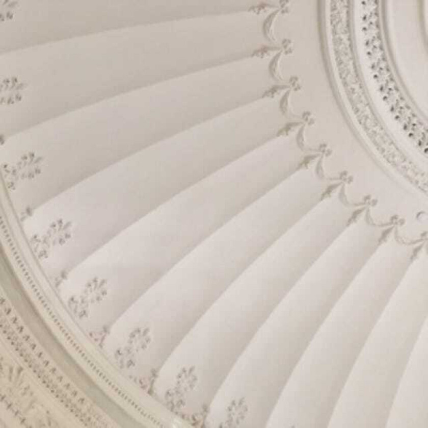 Patio Essentials LP/Vinyl