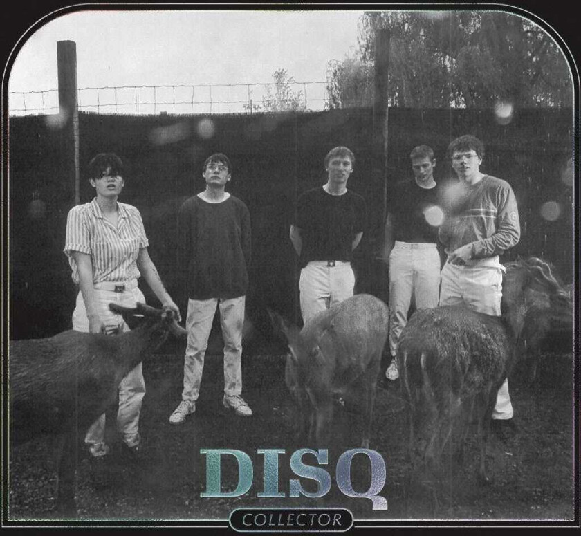 Disq Collector LP/Vinyl