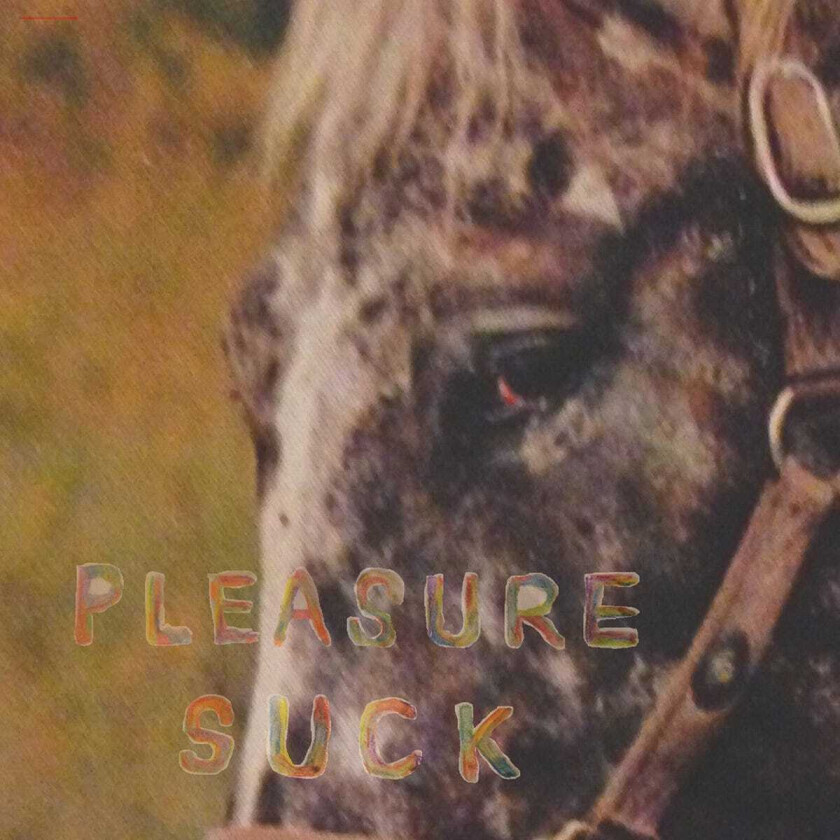 Spirit Of The Beehive Pleasure Suck LP/Vinyl