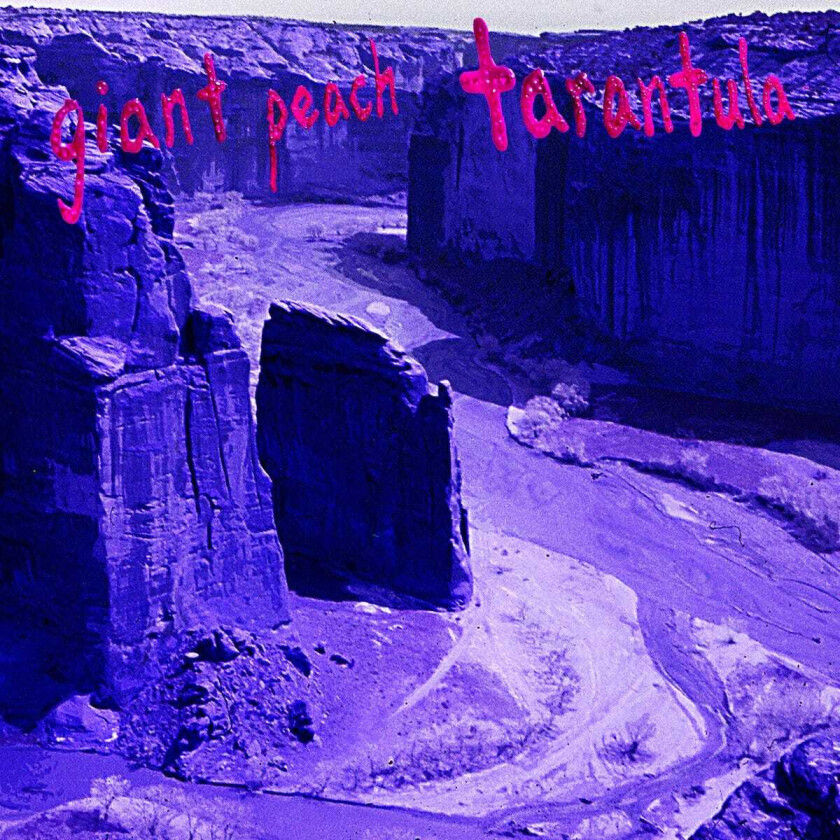 Giant Peach Tarantula LP/Vinyl