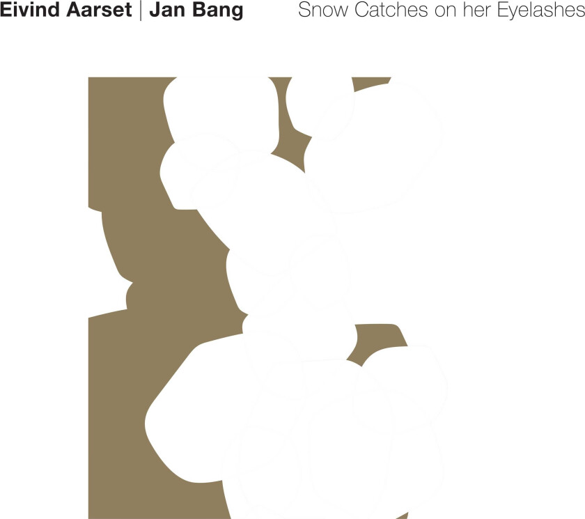 Eivind Aarset & Jan Bang, Eivind Aarset, Jan Bang Snow Catches On Her Eyelashes LP/Vinyl