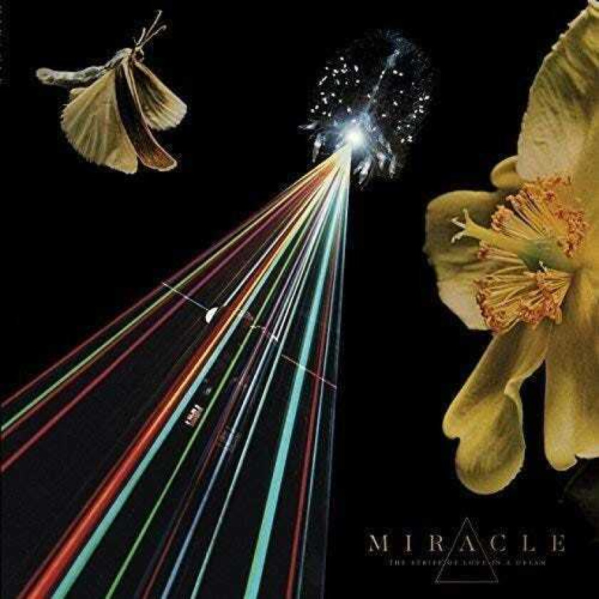 Miracle The Strife Of Love In A Dream LP/Vinyl