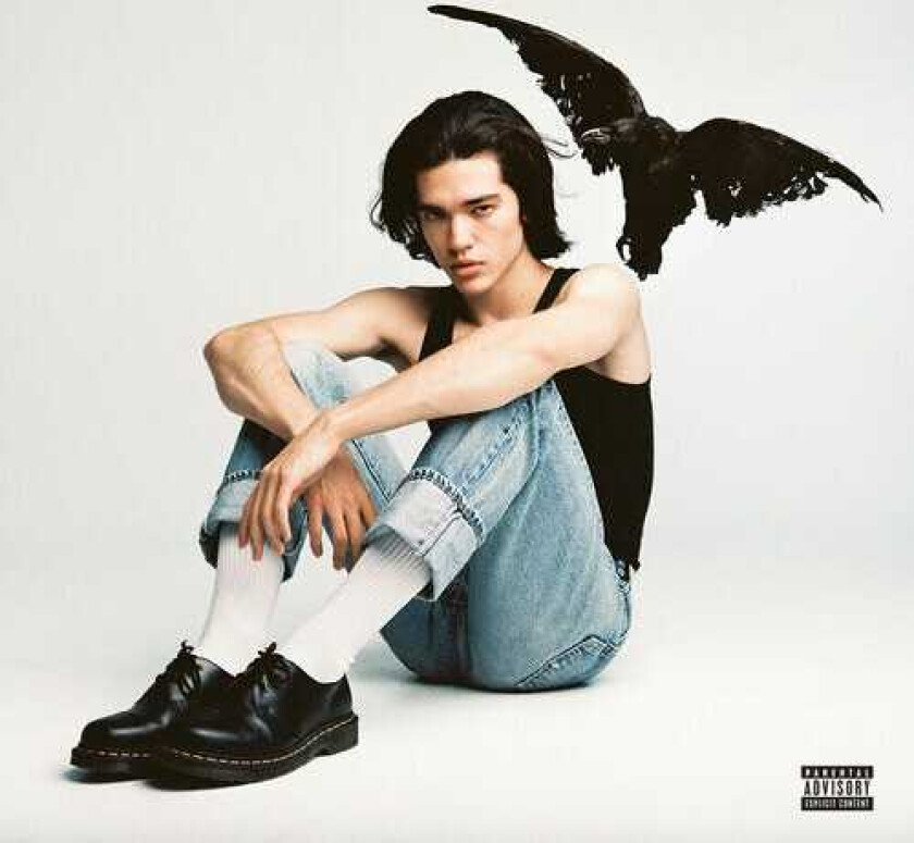 Conan Gray Kid Krow CD