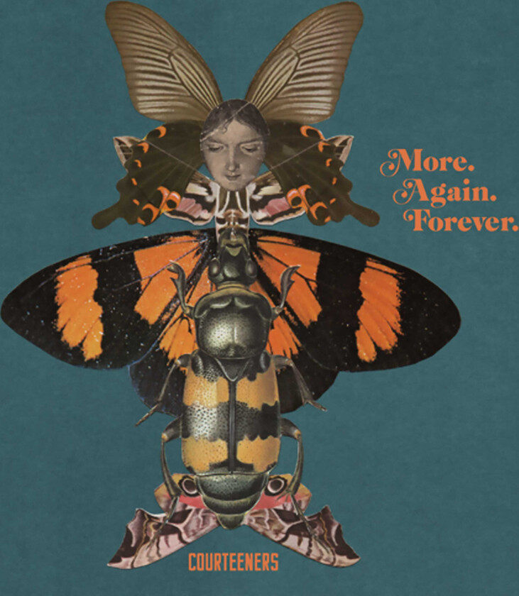 The Courteeners More. Again. Forever. LP/Vinyl