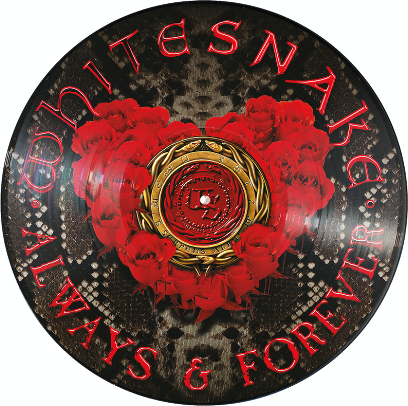 Whitesnake Always & Forever LP/Vinyl
