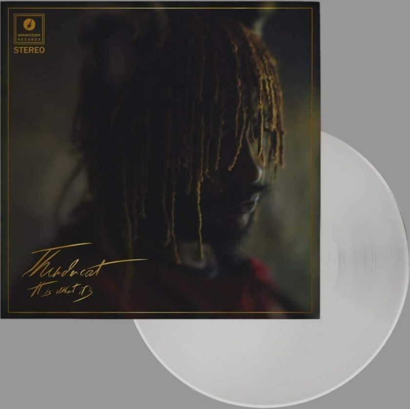 Thundercat It Is What It Is LP/Vinyl