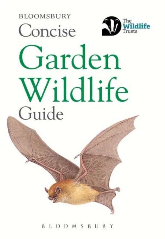 Concise Garden Wildlife Guide av Bloomsbury