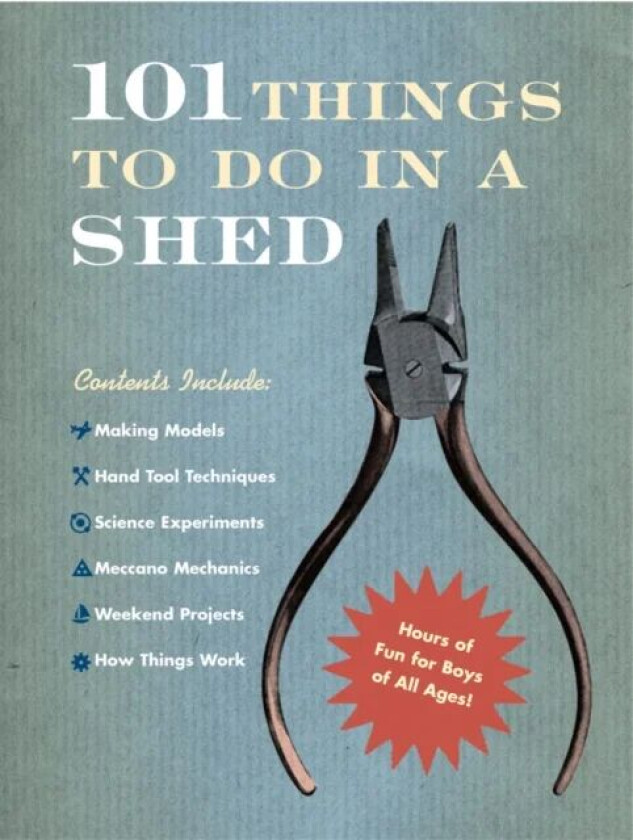 101 Things To Do In A Shed av Rob Beattie