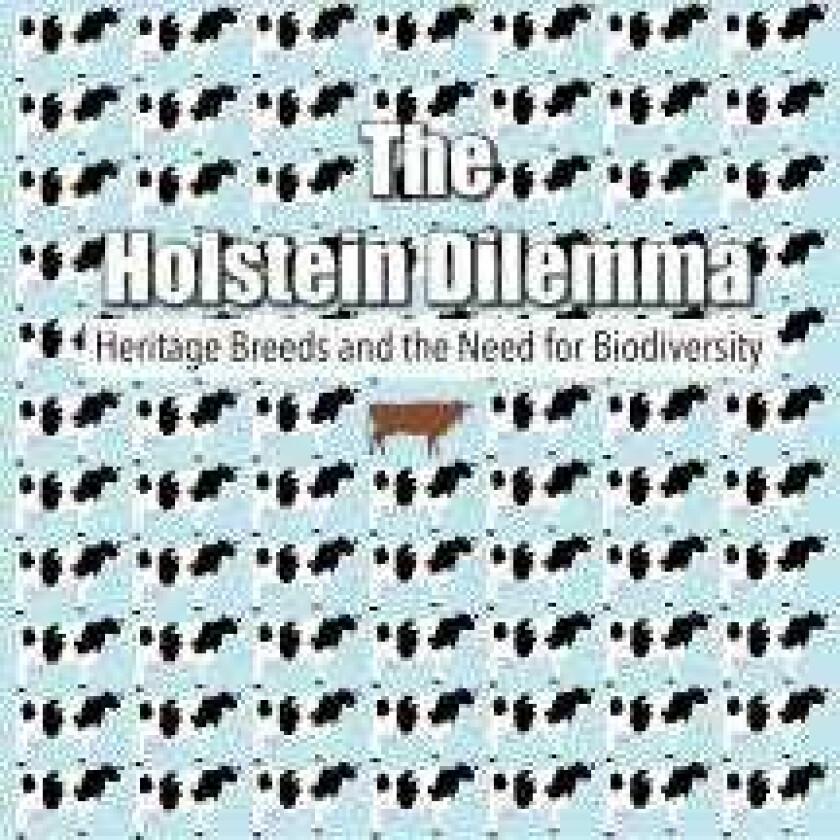 The Holstein Dilemma DVD