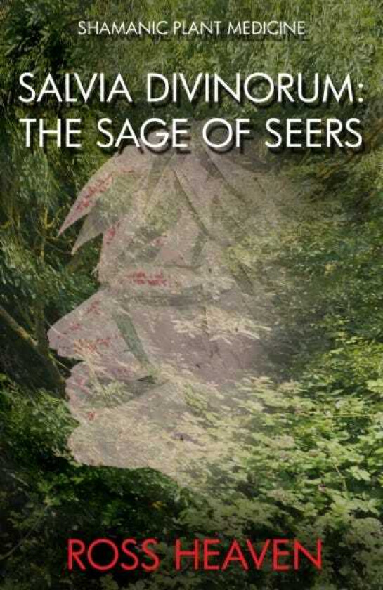 Shamanic Plant Medicine Salvia Divinorum The Sage of the Seers