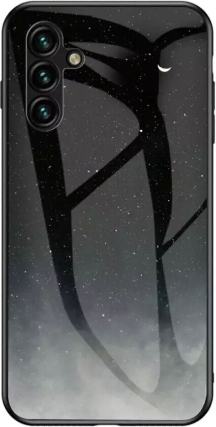 Samsung Galaxy A54 (5G) Deksel m. Bakside av Glass - Blå Himmel