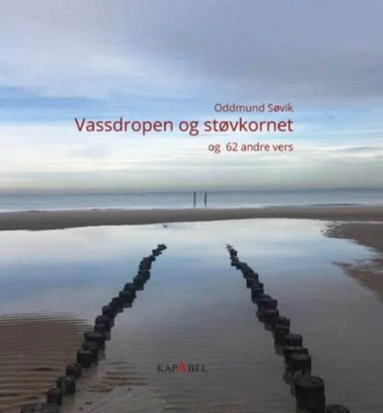 Vassdropen og støvkornet av Oddmund Søvik