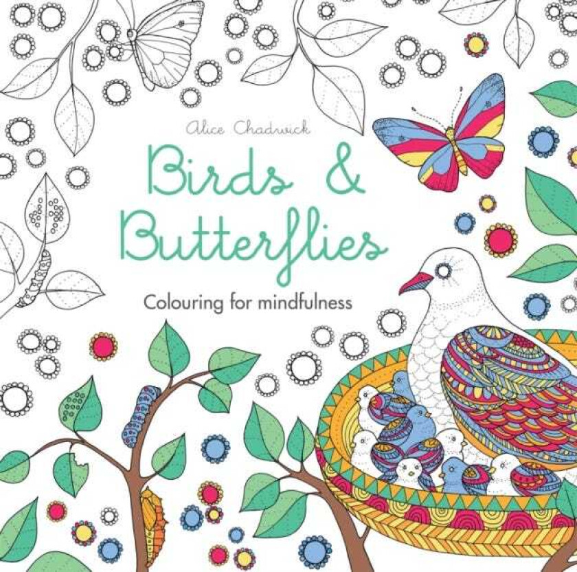 Birds & Butterflies Colouring for mindfulness