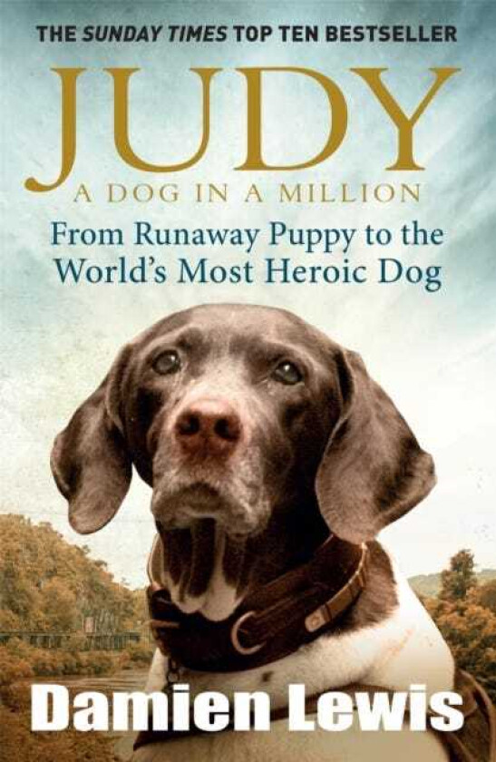 Judy: A Dog in a Million From Runaway Puppy to the World's Most Heroic Dog