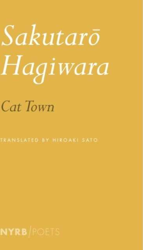 Cat Town