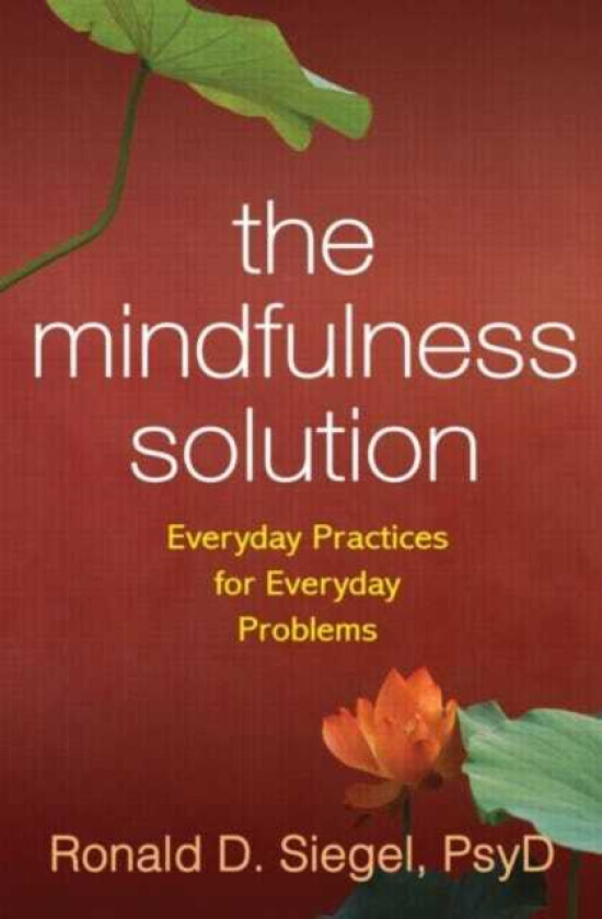The Mindfulness Solution Everyday Practices for Everyday Problems
