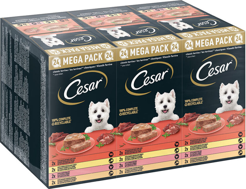 Megapakke Cesar Skåler 24 x 150 g - Classic Terrine