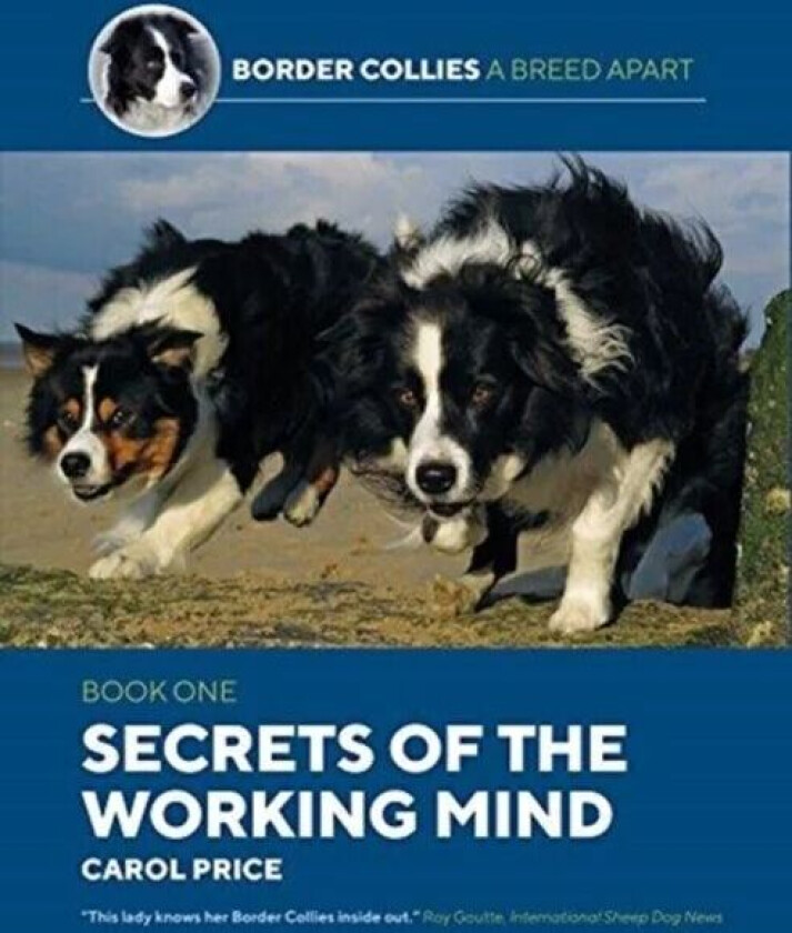 Secrets Of The Working Mind av Carol Price