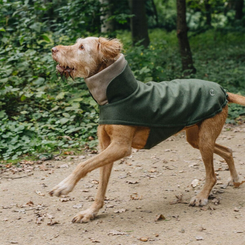 Bilde av Brooklyn Hundedekken i Flanell Grønn (6)