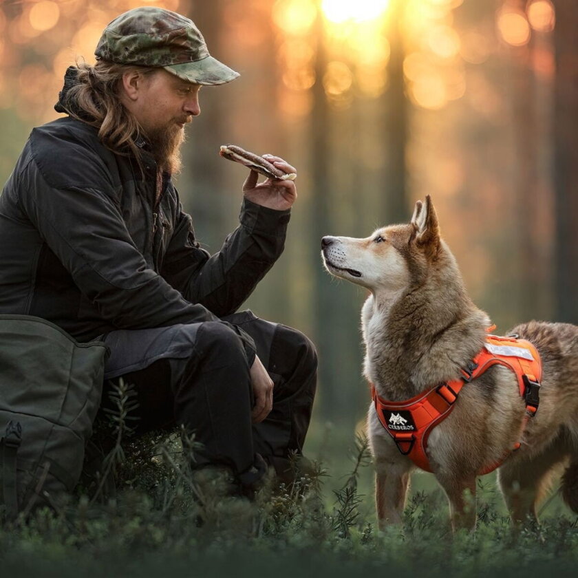 Tactical Rescue Hundesele Orange (XXL)