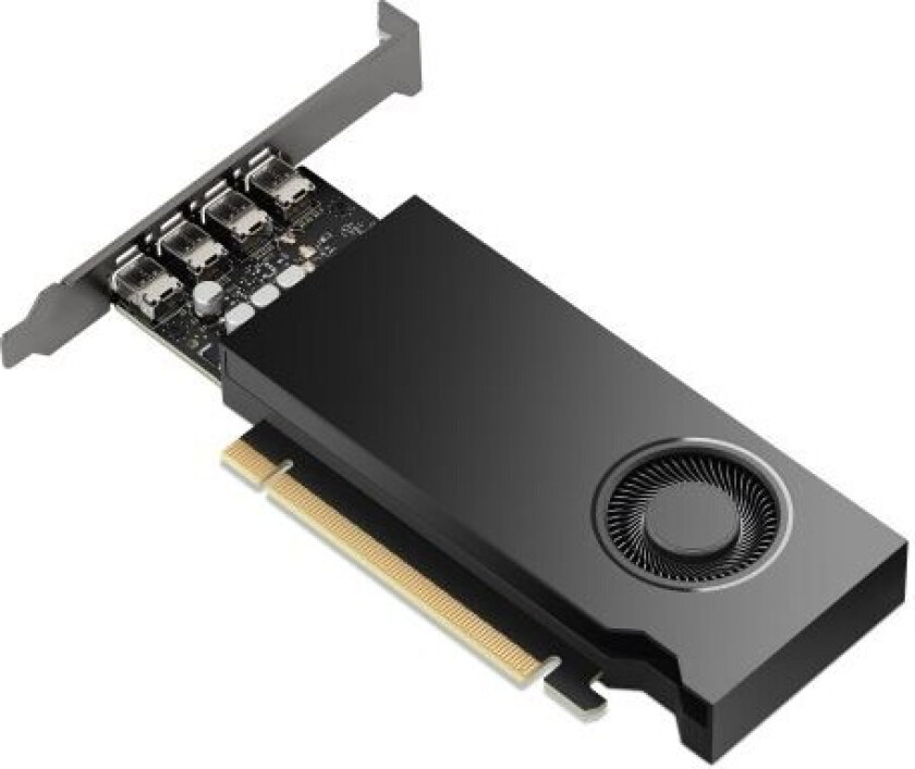RTX 2000 Ada - 16GB GDDR6 RAM - Grafikkort
