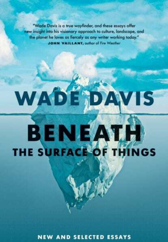 Beneath the Surface of Things New and Selected Essays