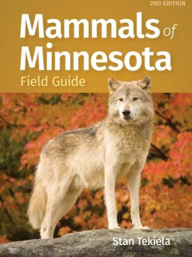 Mammals of Minnesota Field Guide