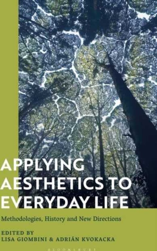 Applying Aesthetics to Everyday Life Methodologies, History and New Directions