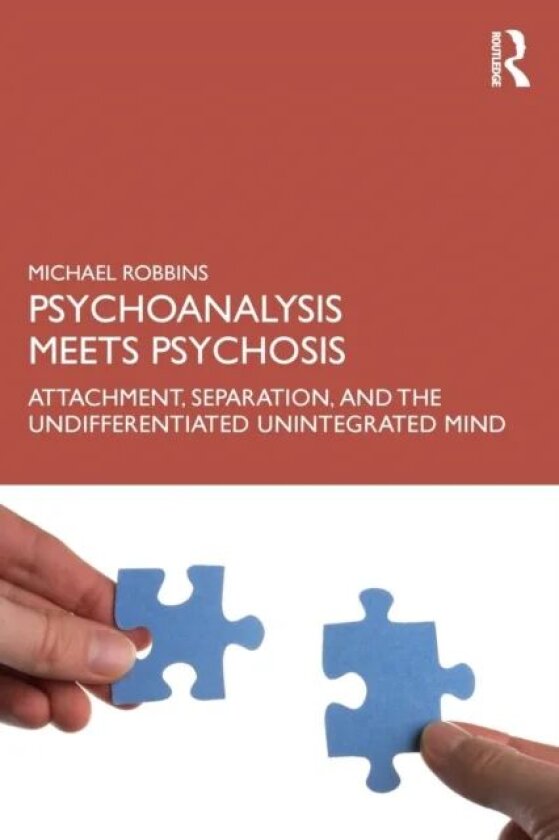 Psychoanalysis Meets Psychosis av Michael (Boston Psychoanalytic Society M Robbins
