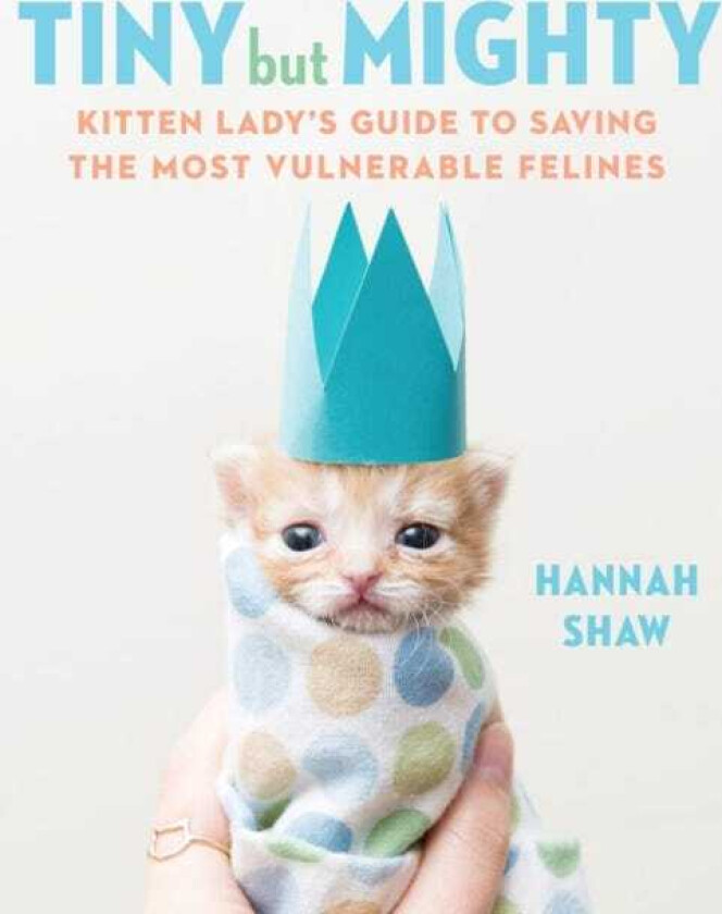 Tiny But Mighty Kitten Lady's Guide to Saving the Most Vulnerable Felines