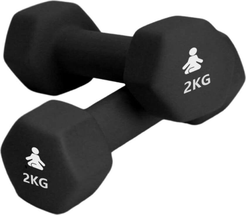 Bilde av Premium Dumbbells 2 x 2 kg